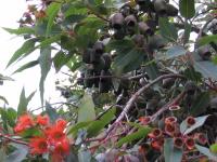 Albums/20060200-New Zealand 2006/20060318-Kaikiura/56